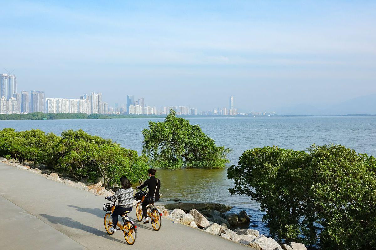 深圳红树林攻略:尽享美好时光 深圳红树林,位于深圳湾畔的海滨公园,是