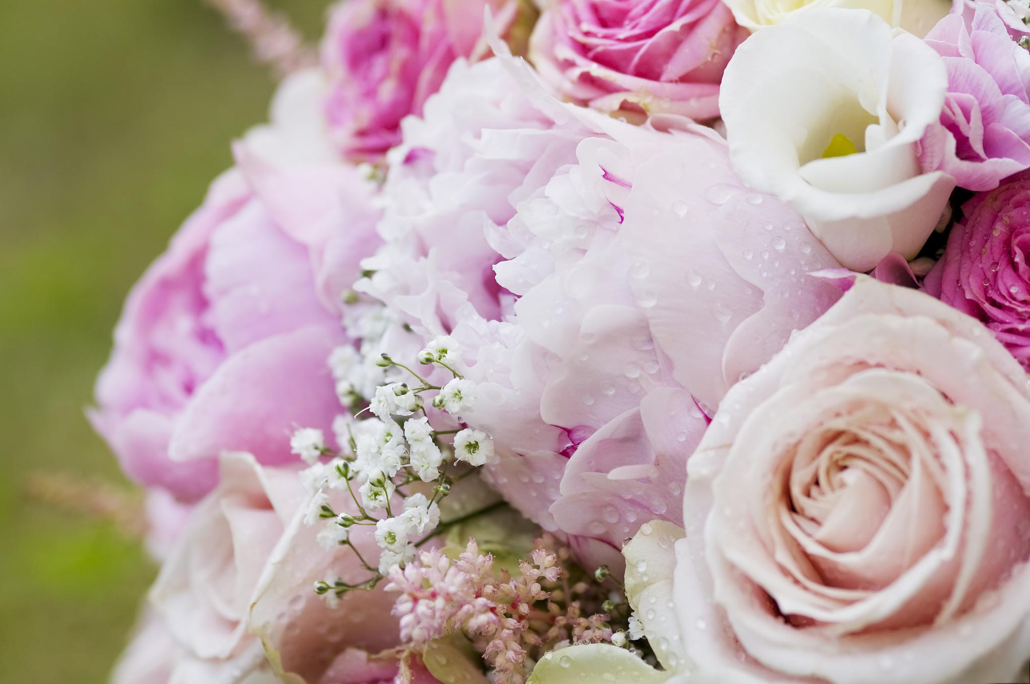 花束保鲜小技巧,让你留住那份美丽 花束,那份永恒的美丽,却常常在短短