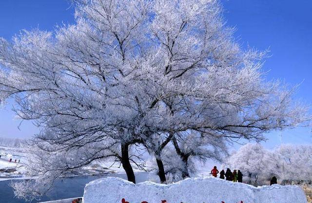 吉林雾凇岛:冬日童话与自然奇观的完美融合 吉林雾凇岛,一处如诗如画