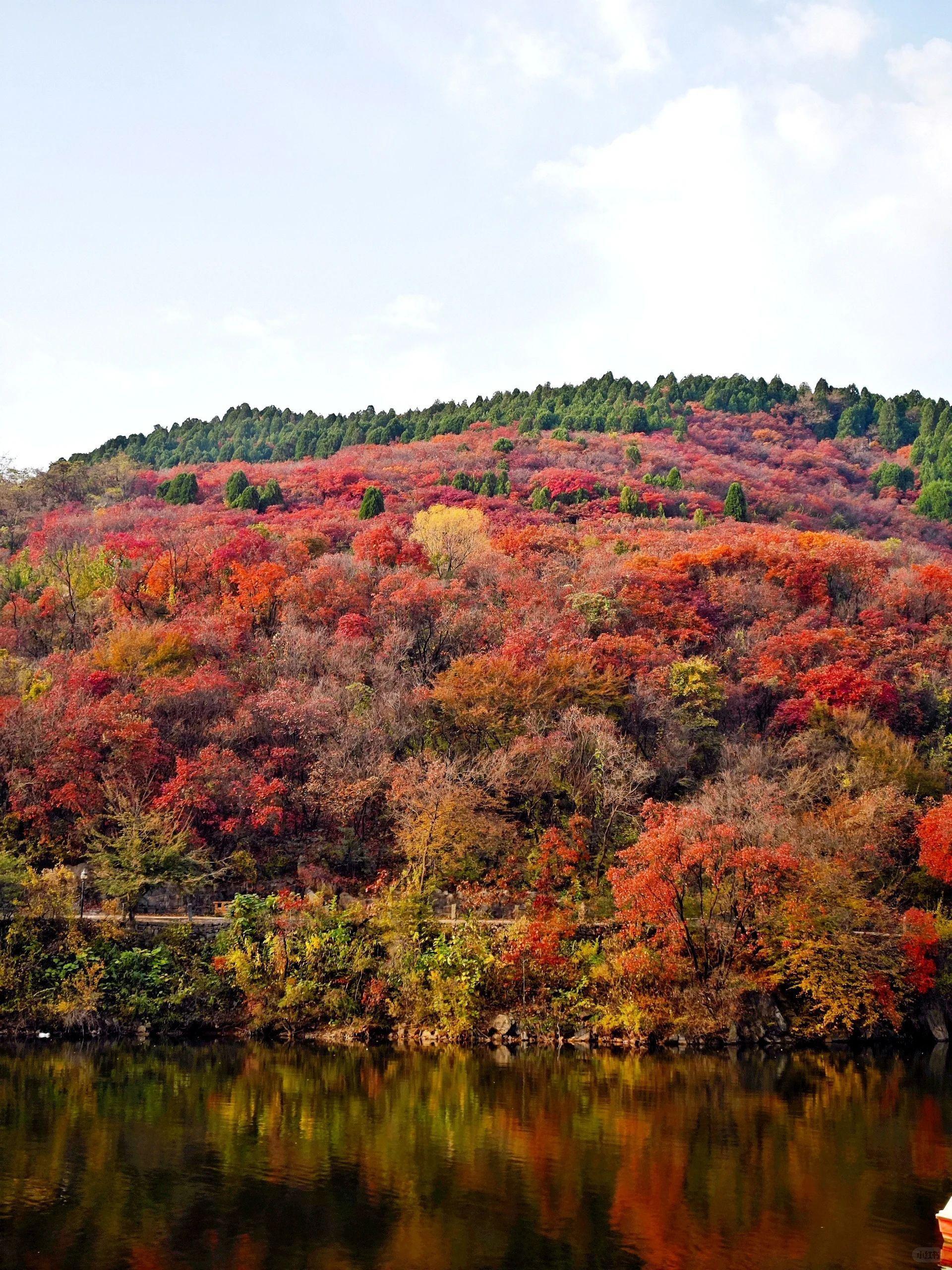 冬日里的泉城美景 济南,这座美丽的泉城,每个季节都有它独特的魅力.