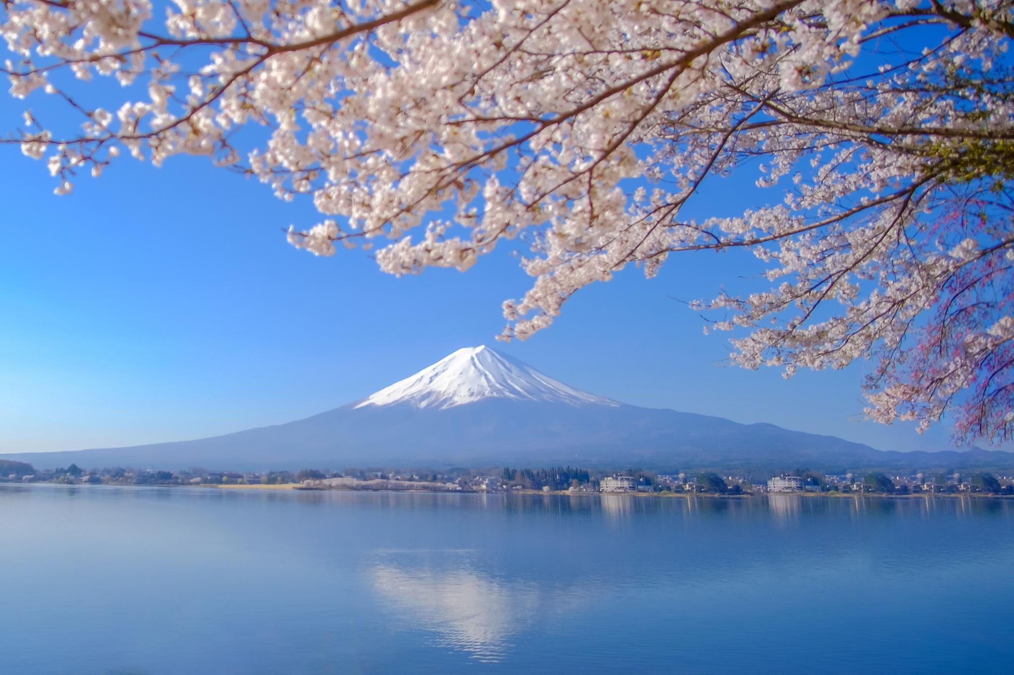 日本旅游热潮不断,吸引着无数游客前往探索其独特的文化和风景.