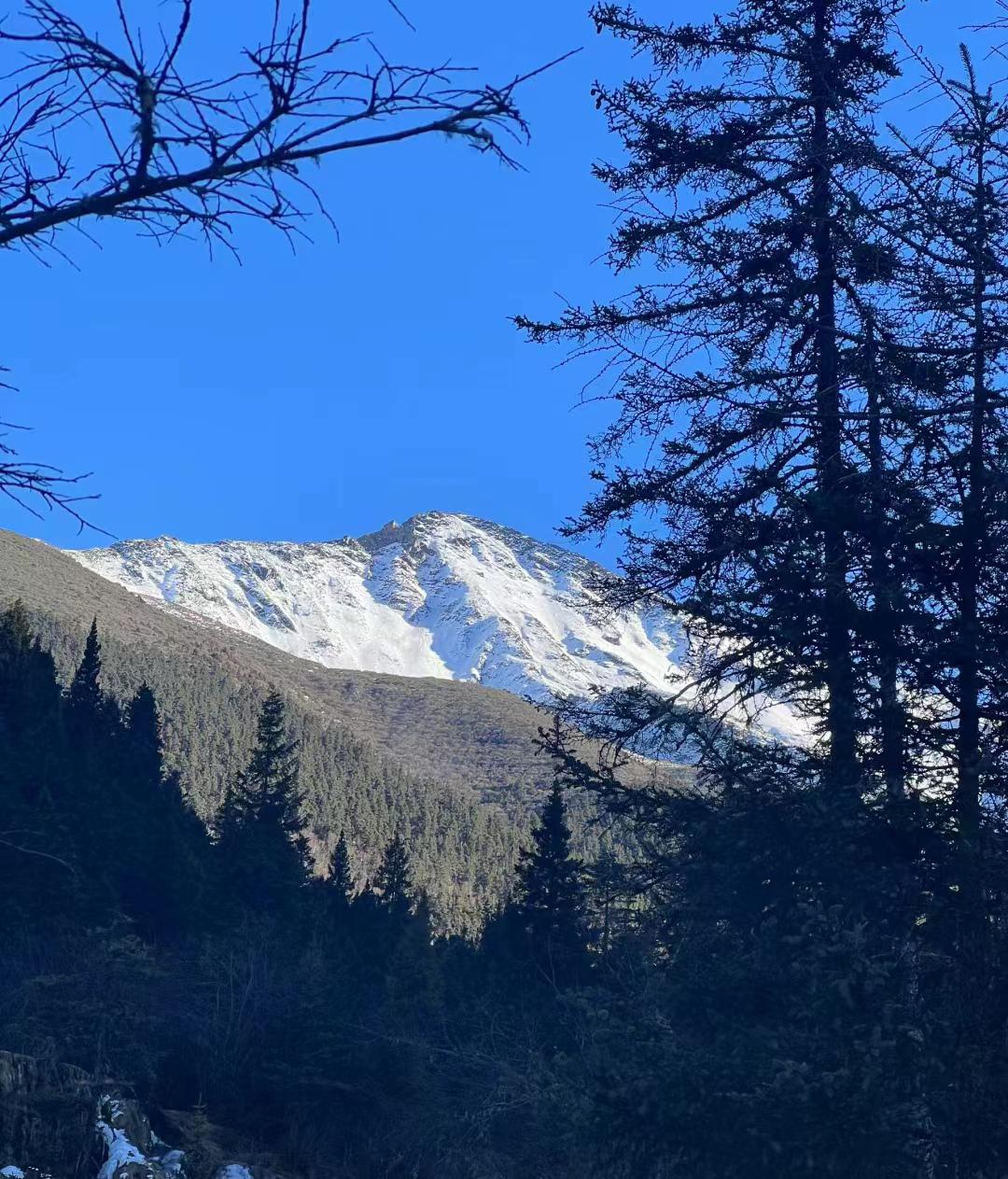九寨沟旅游攻略:畅游无忧 四川,天府之国,自古便有"少不入川,老不出蜀