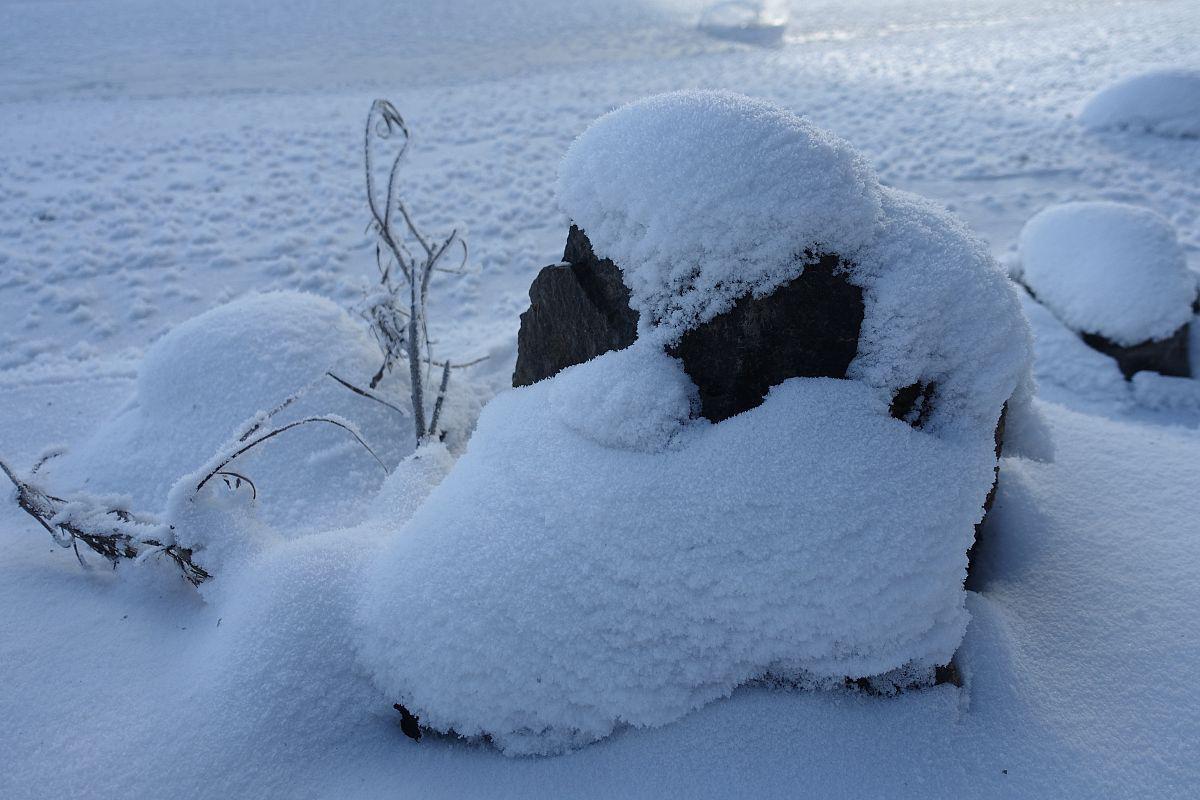 纯白雪国,触动心灵之旅 当冬季的魔法悄然降临,呼伦贝尔的雪景便化为