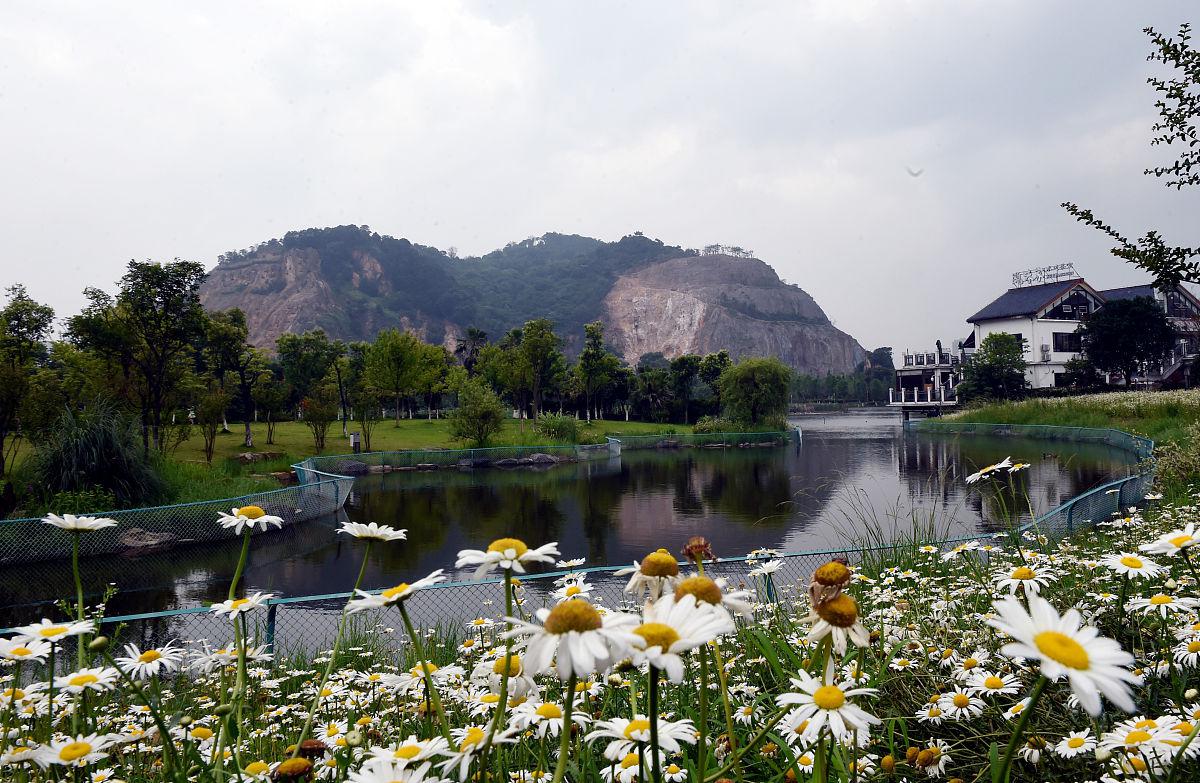 温州杨府山公园:城市中的山水画廊与天鹅仙境 杨府山公园是温州市内一