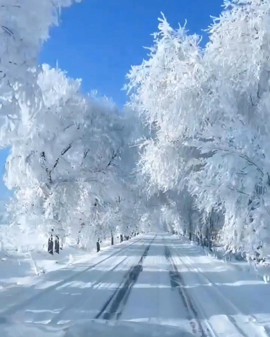 城市雪景图片冬天真实图片