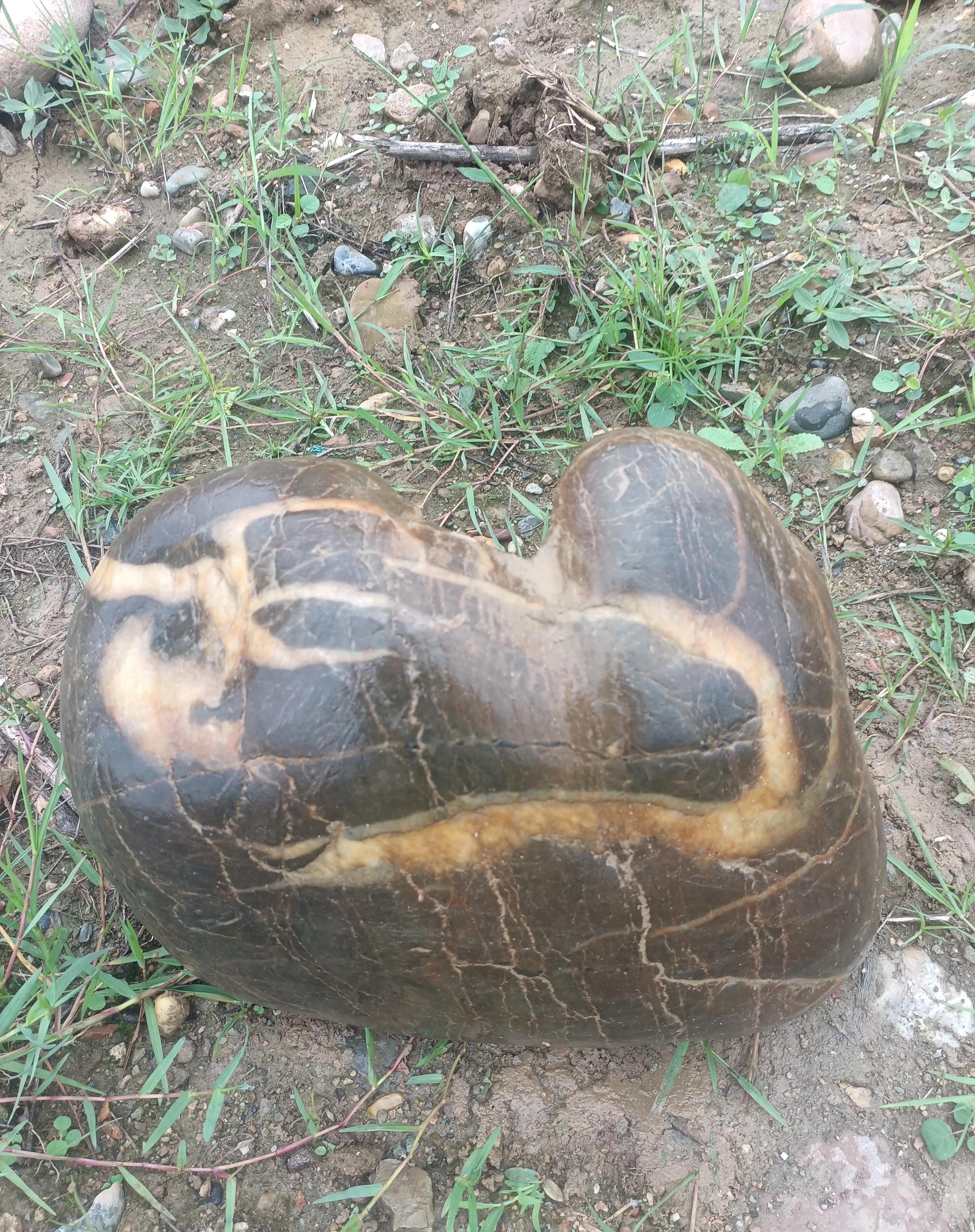 40公斤的奇特石头:探索自然之谜 在下午检石头时,发现一块重约40公斤