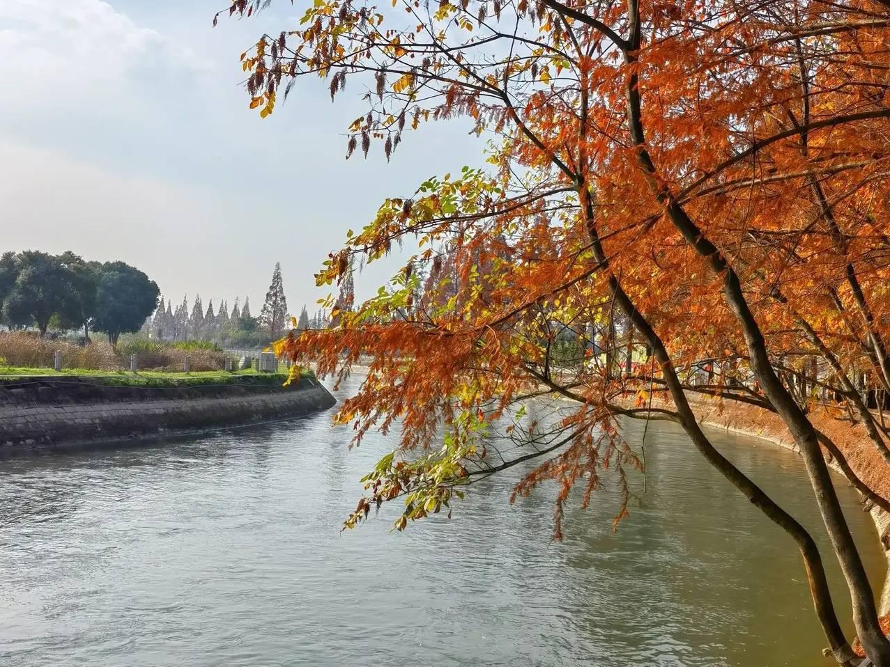 安靖蜀绣公园:自然与文化的交融 安靖蜀绣公园是一个集自然,文化,休闲