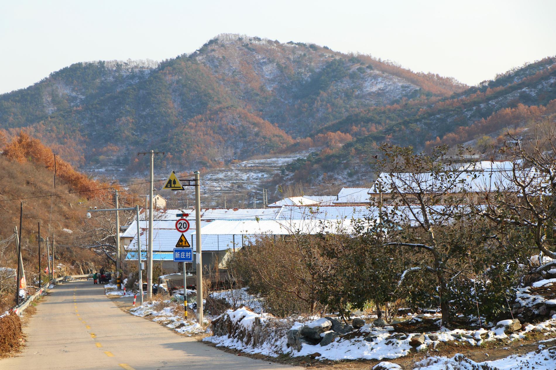 走进栖霞的胶东乡村,感受新庄村的独特魅力 新庄村位于桃村镇辖区内