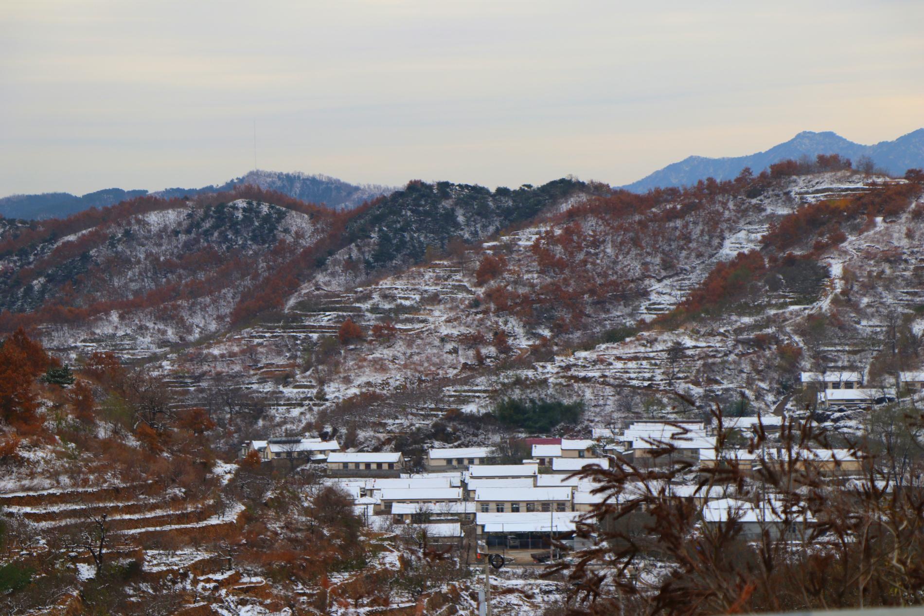 走进栖霞的胶东乡村,感受新庄村的独特魅力 新庄村位于桃村镇辖区内