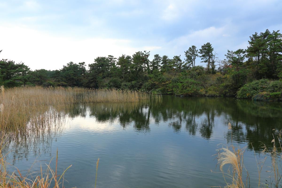 云霄县乌山风景区图片