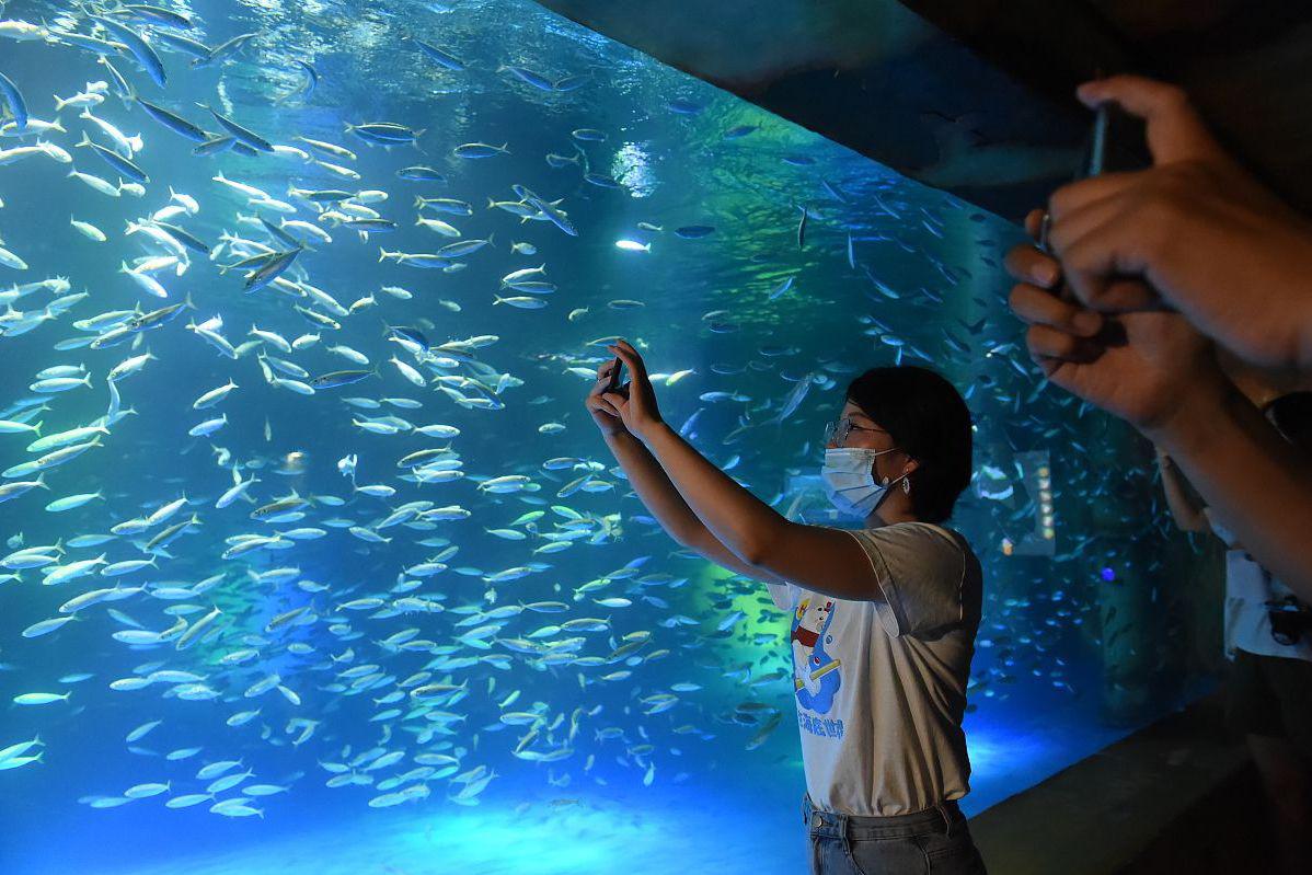 探秘三鲨海洋馆:海底奇境的魅力 菏泽,山东之珠,藏有一处神秘的海底奇