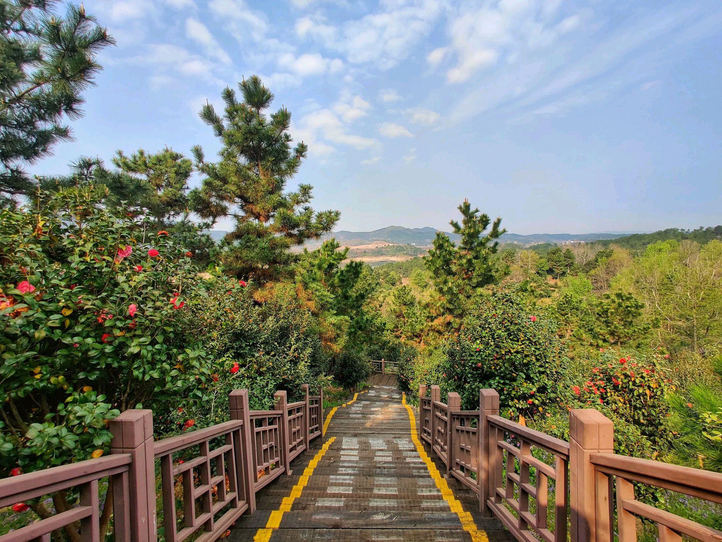 麻城五脑山风景区图片图片