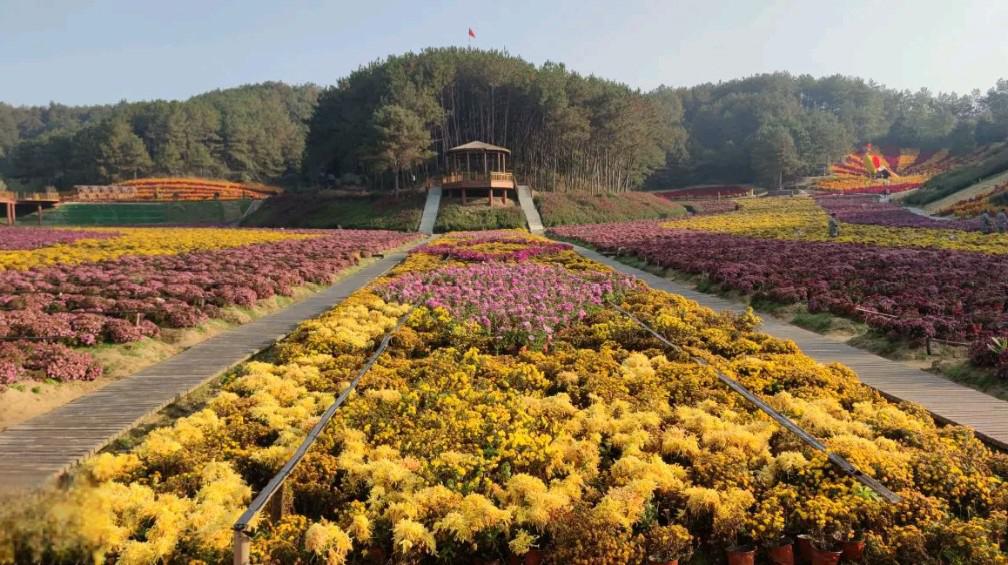 麻城五脑山风景区图片图片