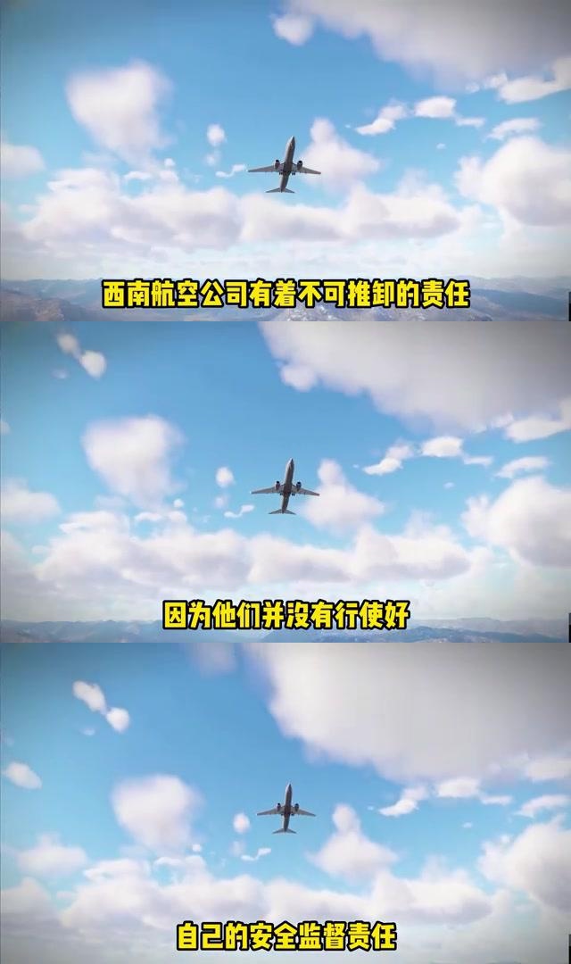 西南航空4509图片