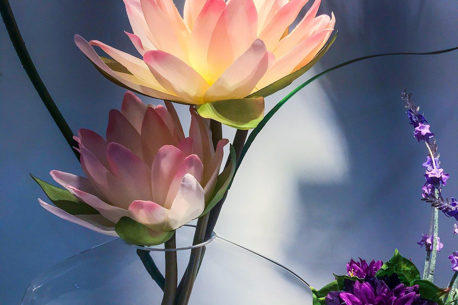 荷花插花养护指南 荷花是盛夏的使者,以其优雅,高洁,清新,脱俗的魅力