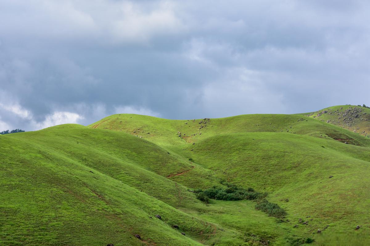 保康南顶草原:自然风光与藏族文化的完美融合 保康南顶草原位于湖北省
