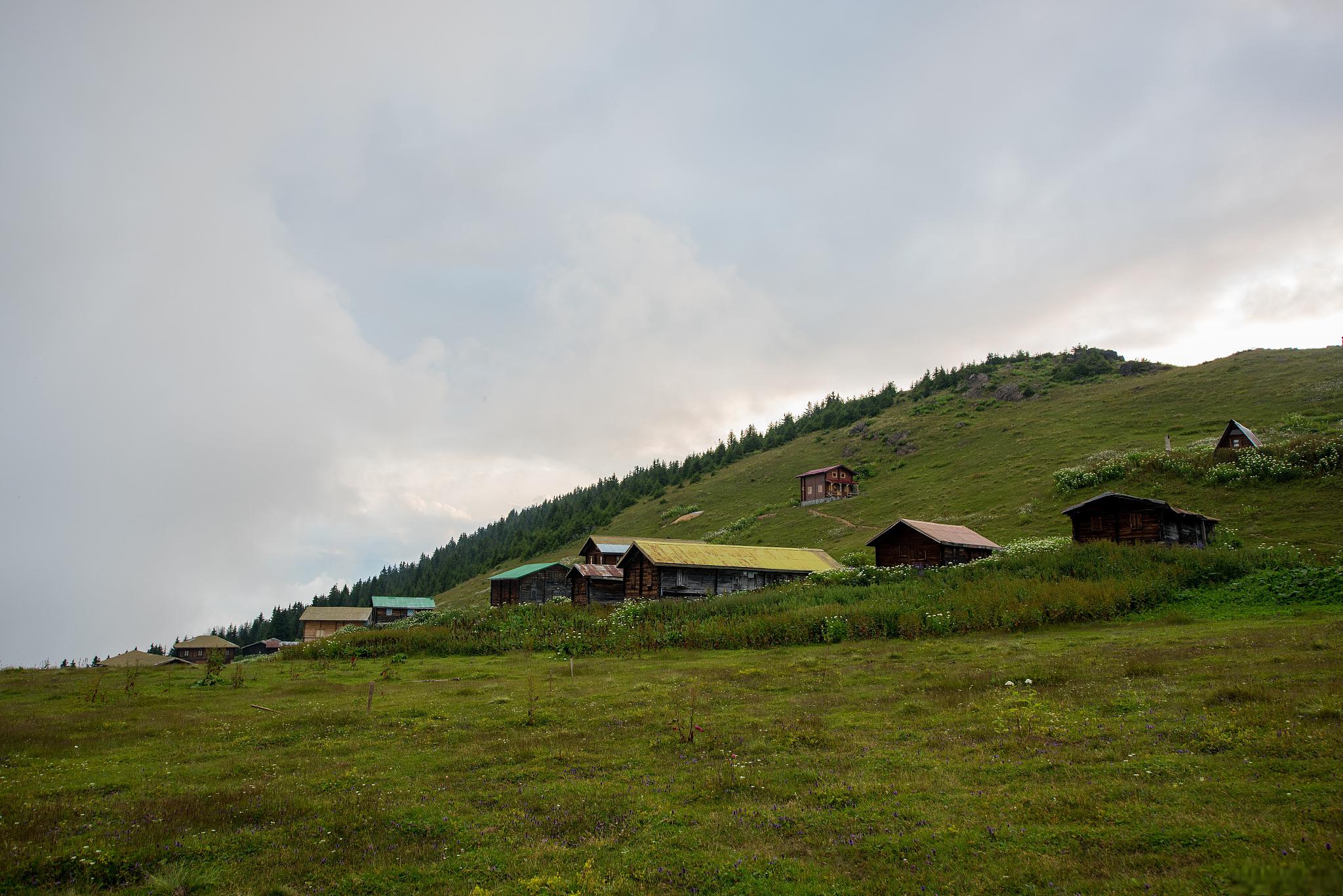 保康南顶草原:自然风光与藏族文化的完美融合 保康南顶草原位于湖北省