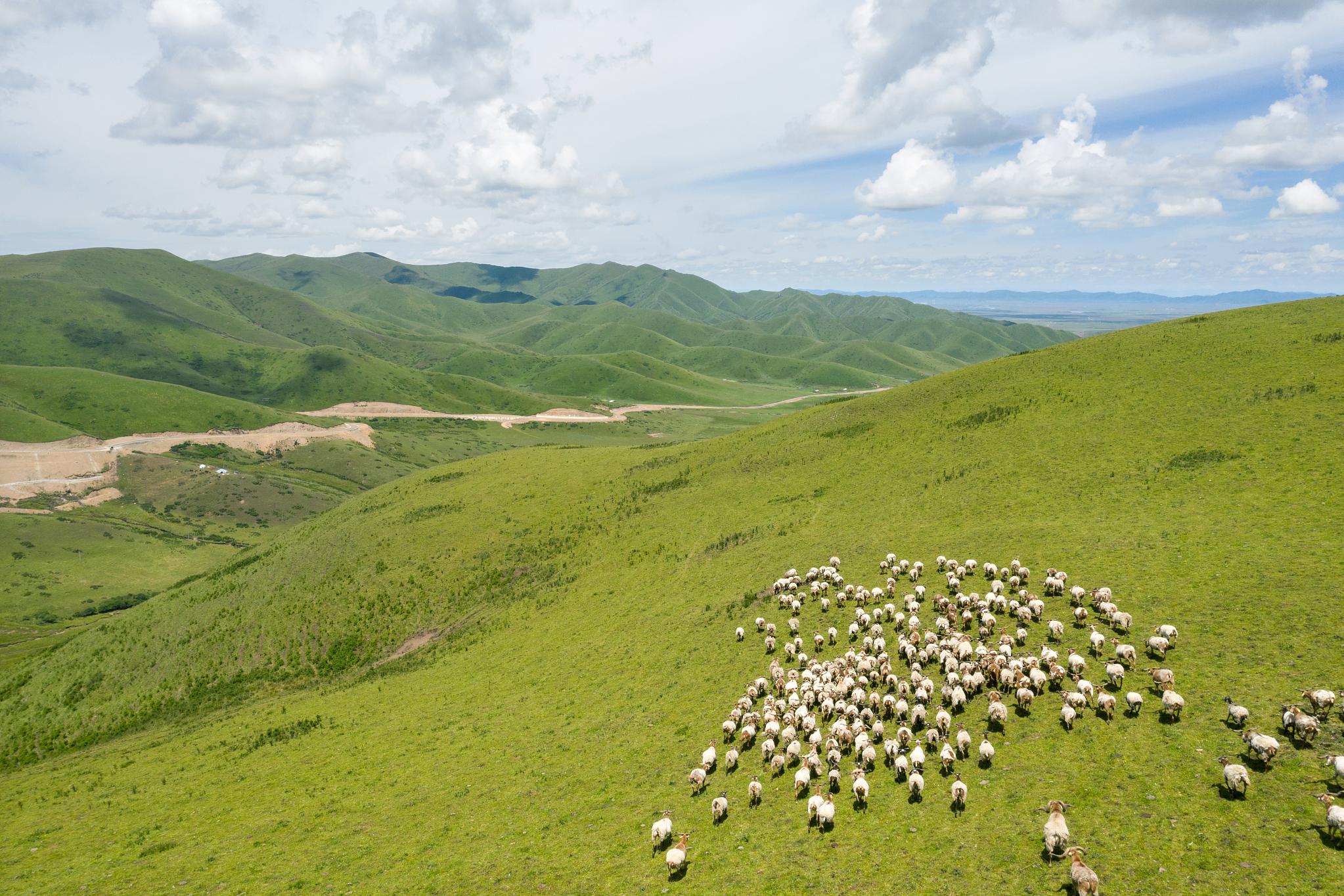 保康南顶草原:自然风光与藏族文化的完美融合 保康南顶草原位于湖北省