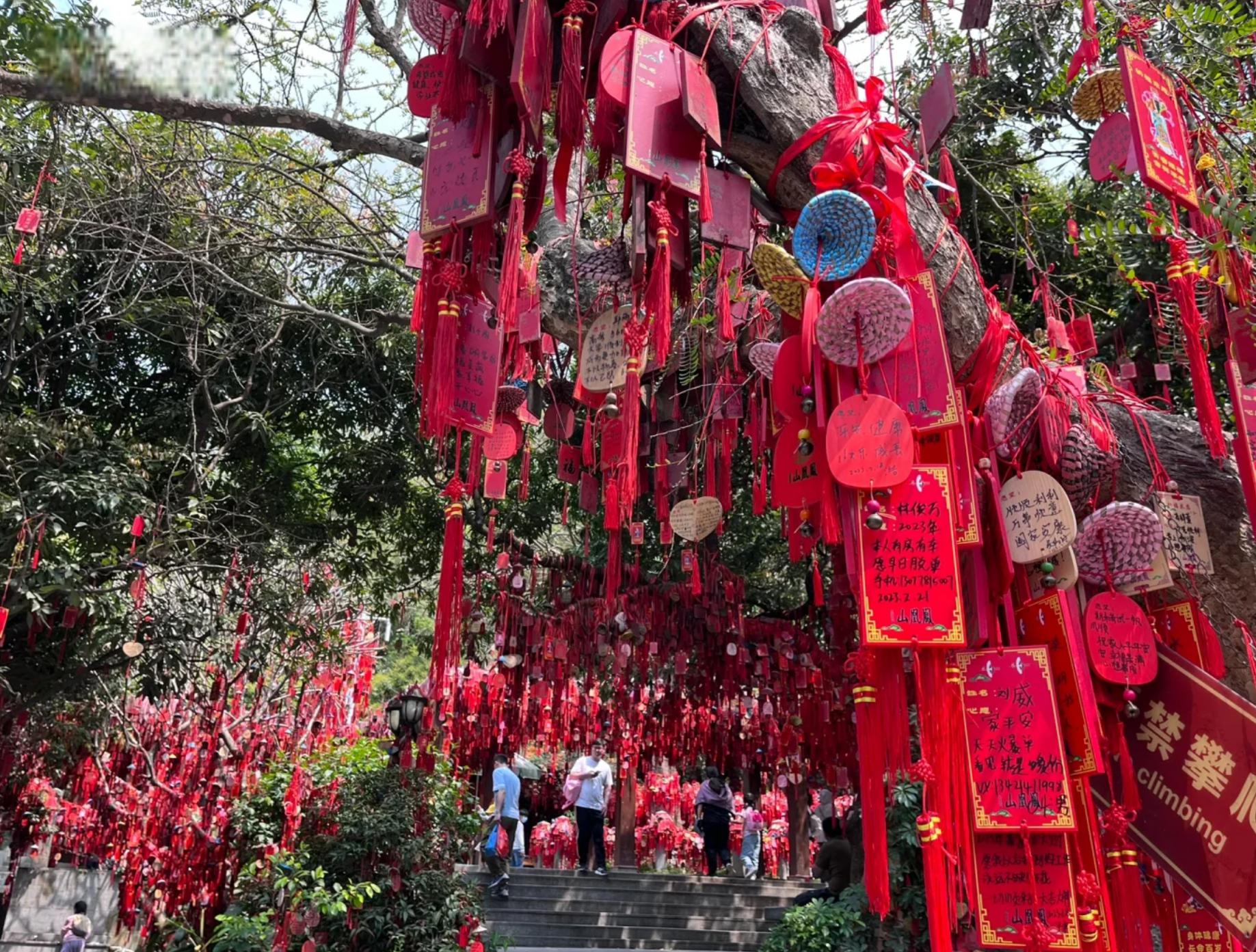 深圳凤凰山风景区:人间仙境 深圳凤凰山风景区,这是一处集自然风光