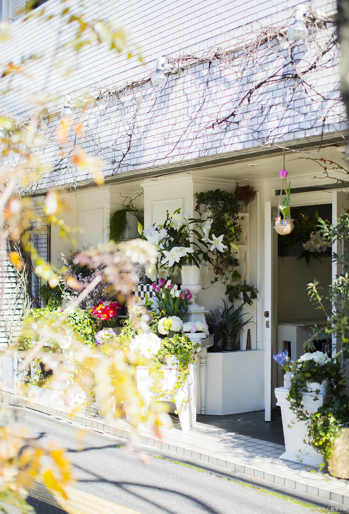 如何打造吸睛花店门头 花店门头是吸引顾客的关键,一个别致,引人注目