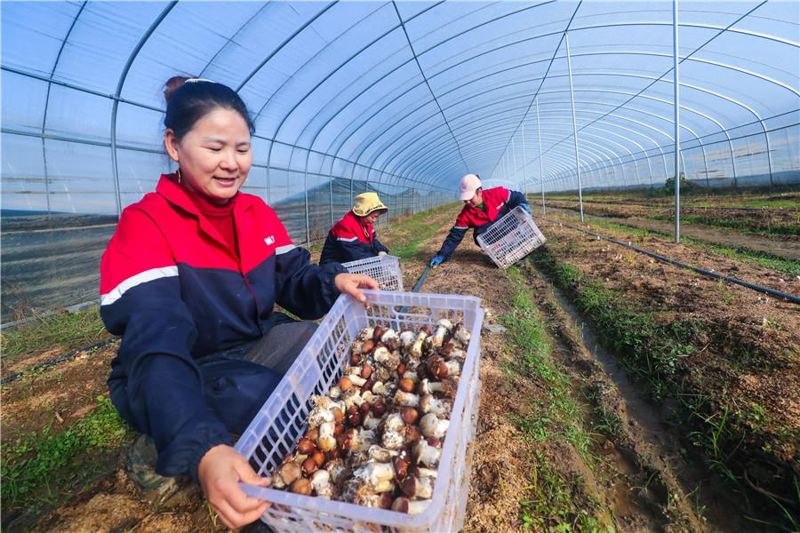 农村小工厂暴利项目有哪些?的简单介绍