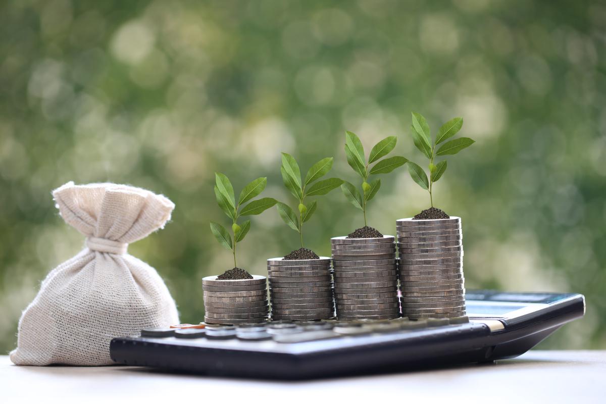 电影投资理财支付宝_电影投资理财app_支付宝的电影投资项目怎么没了