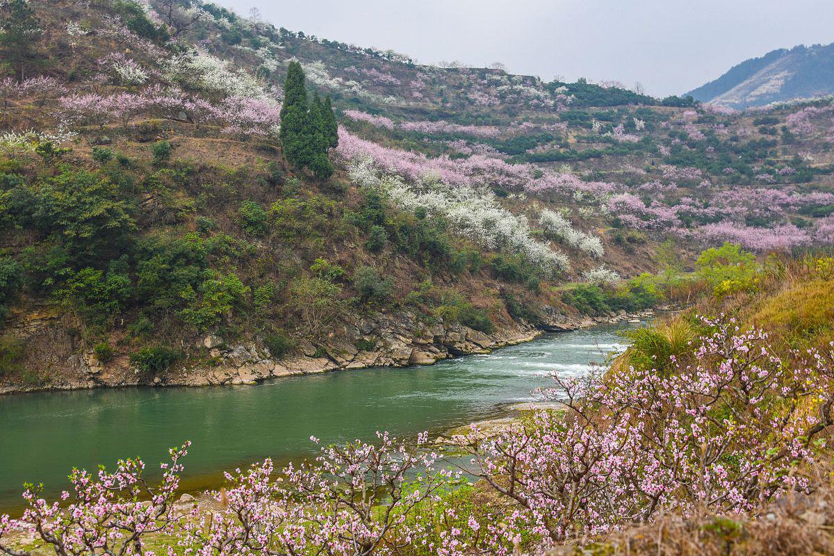 邂逅粉色仙境的浪漫之旅 石首桃花山风景区