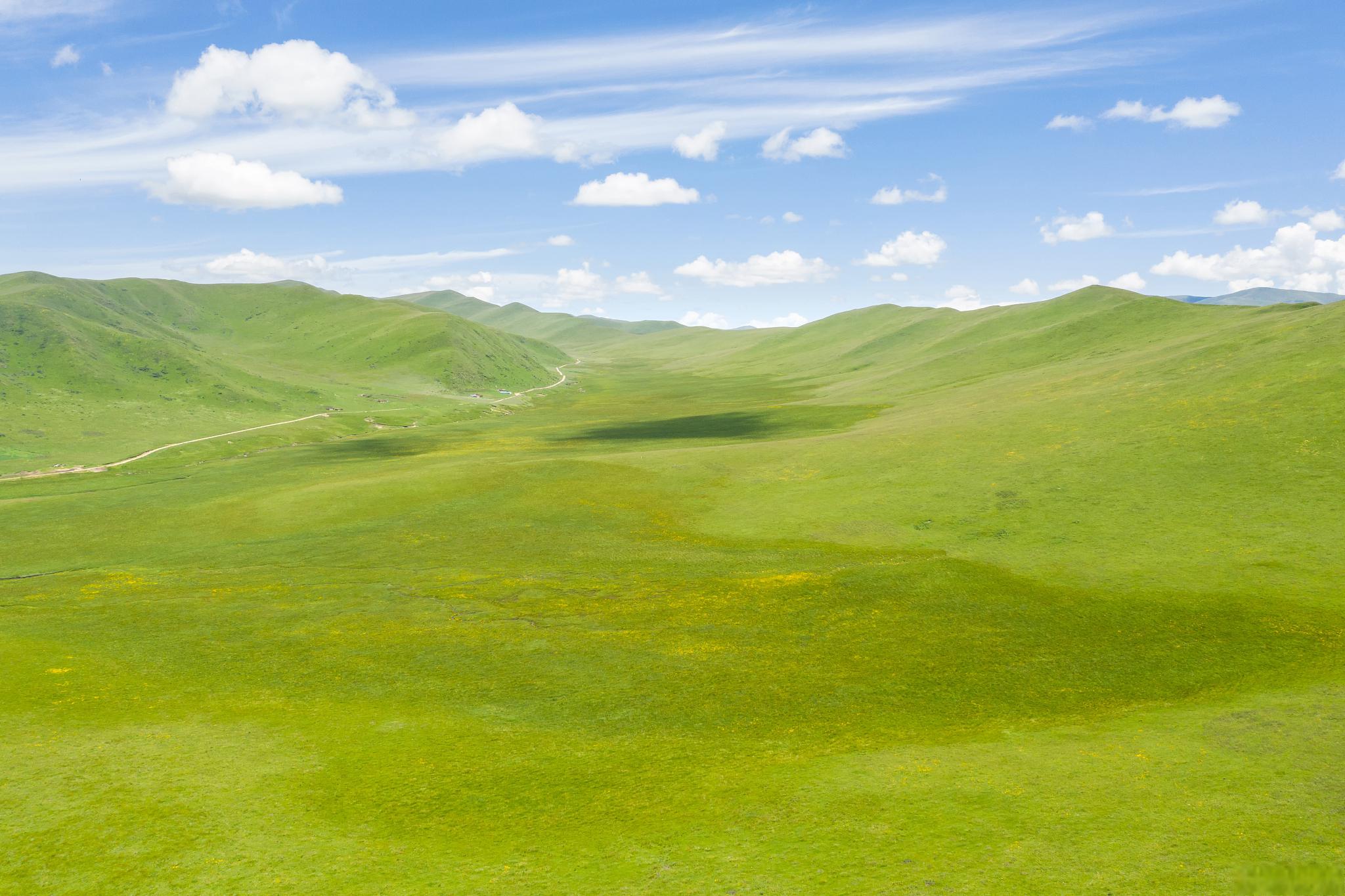 丰宁京北第一草原:夏日避暑胜地 夏日的热浪让人渴望逃离城市的喧嚣