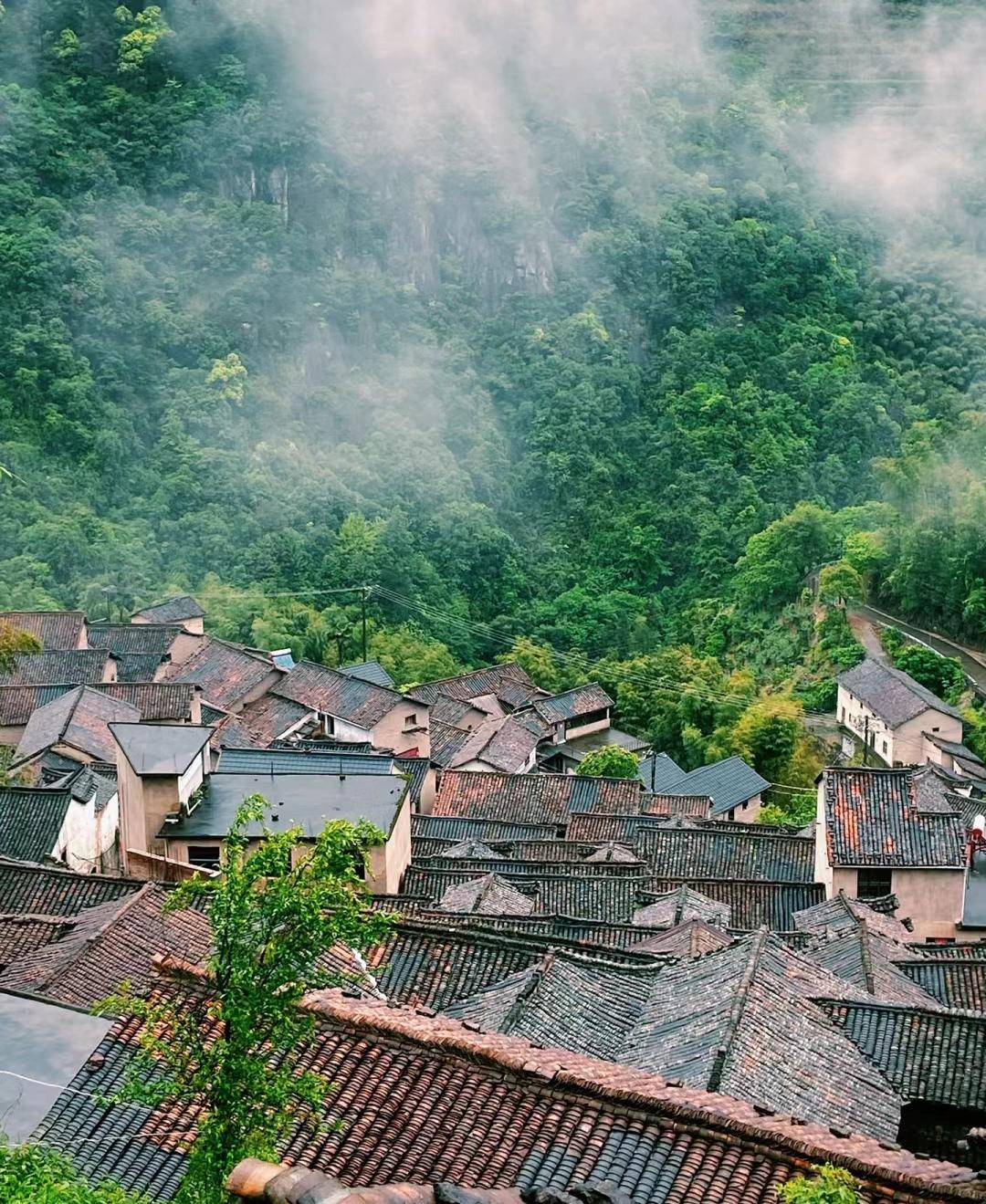 武义柳城上黄村图片