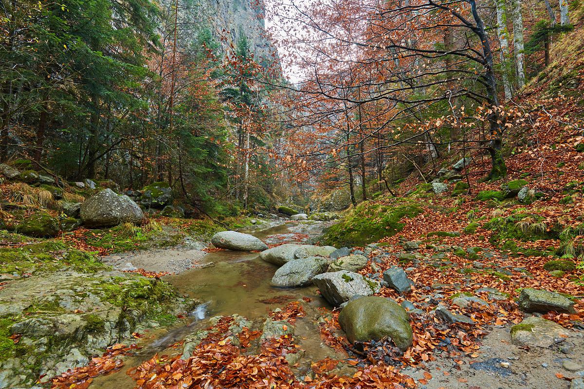 洋湖沟风景区图片