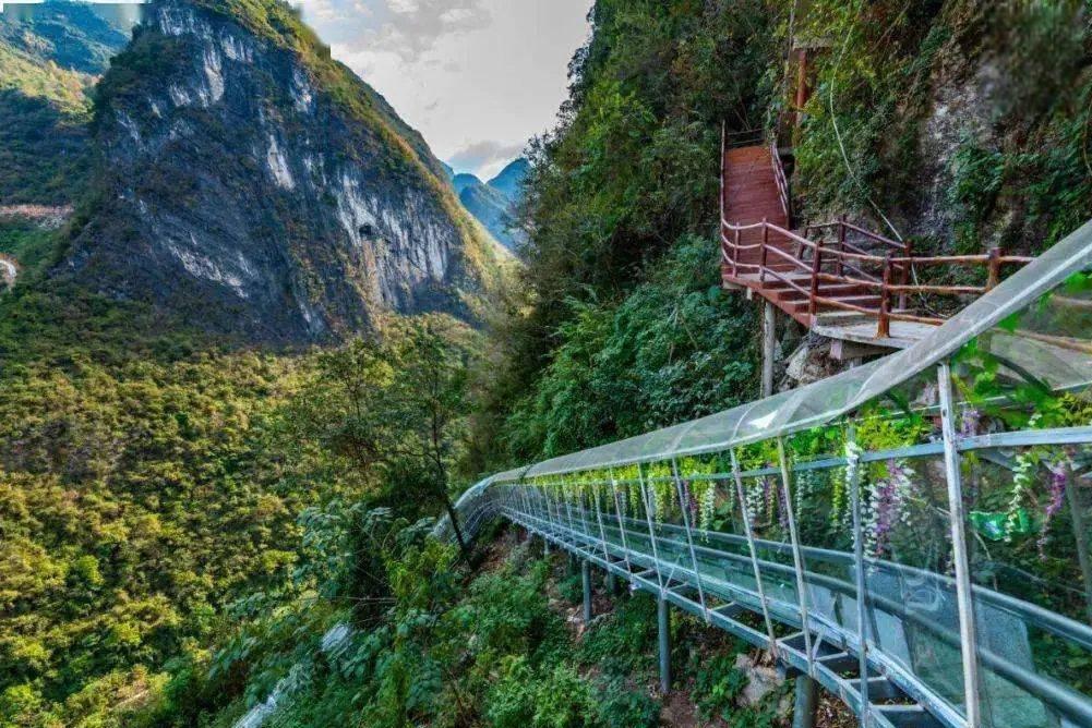 广东阳山县景点介绍图片