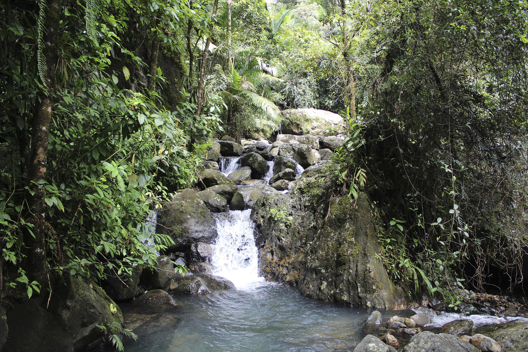 五桂山:桂林临桂区的瑰宝 五桂.@智游tt仔的动态