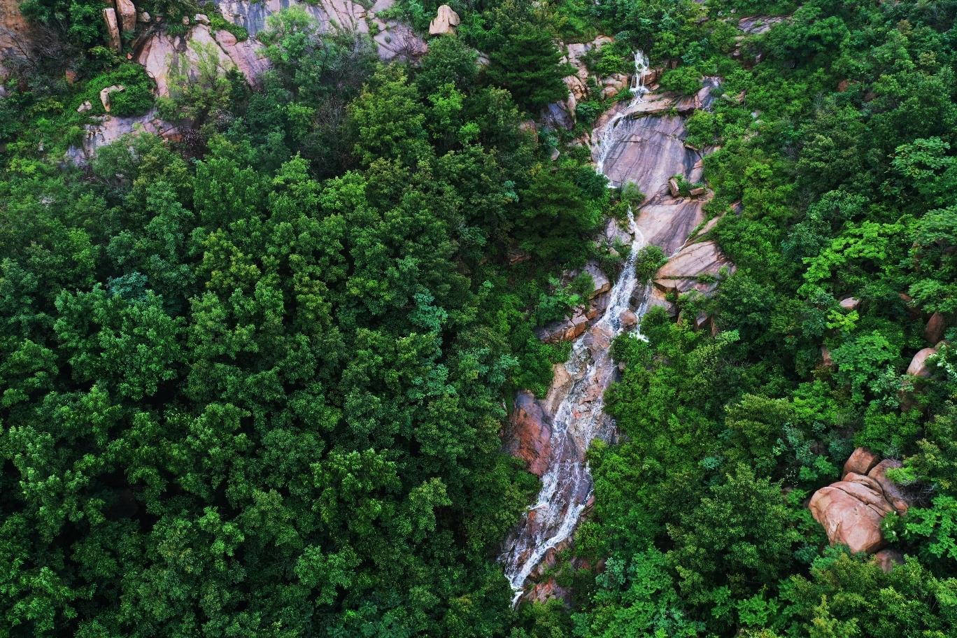 莲青山生态旅游区:一个充满神秘和美丽的生态奇境 莲青山,一处深藏于
