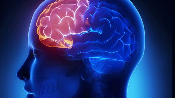 爱笑的孩子,他们的聪明大脑正闪闪发光.