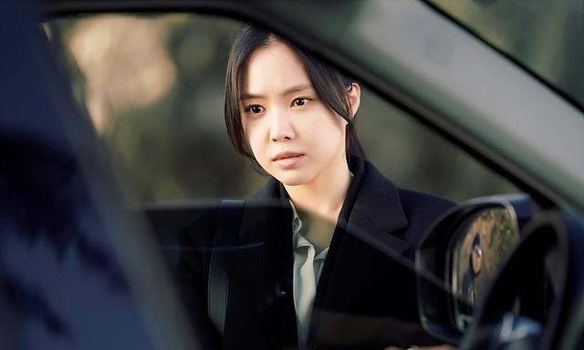 多部电视剧中都有精彩的表现,如《布拉格恋人》,《傲骨贤妻》,《人间