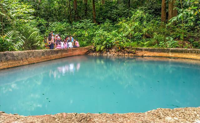 泰顺氡泉景区是一处令人向往的旅游胜地,这里以泉水奇景和自然风光