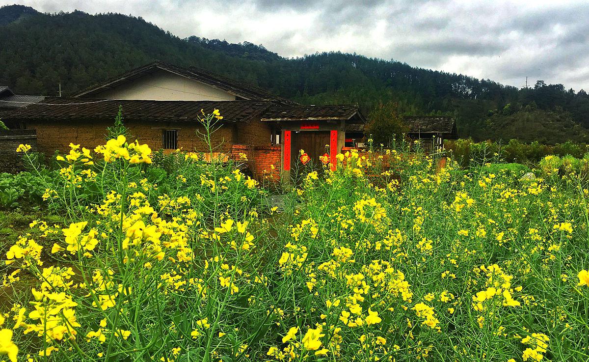 明溪县是福建省三明市的一颗璀璨明珠,拥有丰富的旅游文化资源