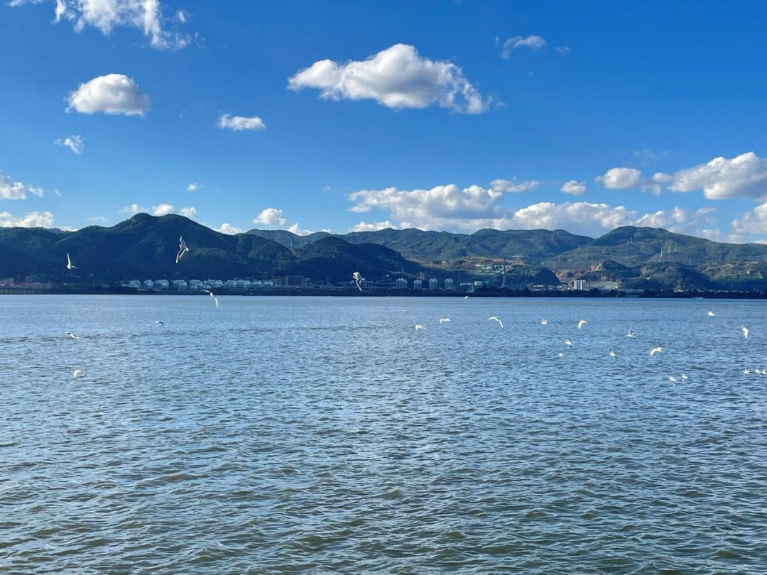 滇池:高原明珠 滇池,这颗闪耀的高原明珠,静谧地镶嵌在云南盆地的南端