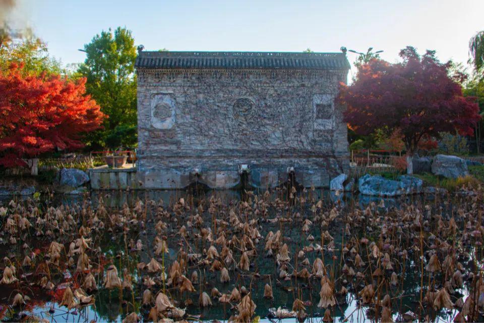 颍上县尤家花园:阜阳出差旅游必打卡 94皖北豫园 颍上县尤家花园是