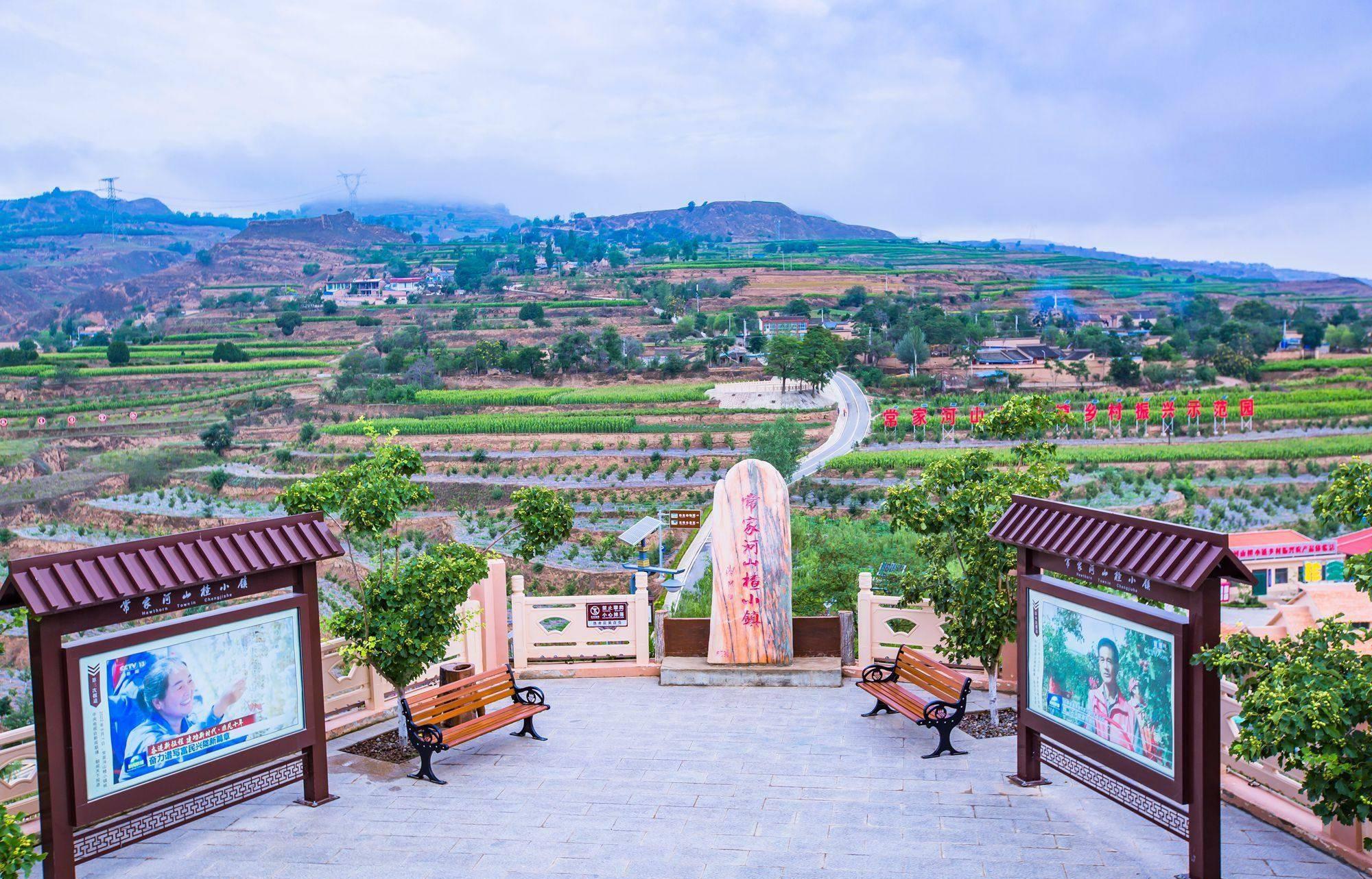 田园风光的诗意画卷 常家河山楂小镇位于甘肃省定西市通渭县南部,是一