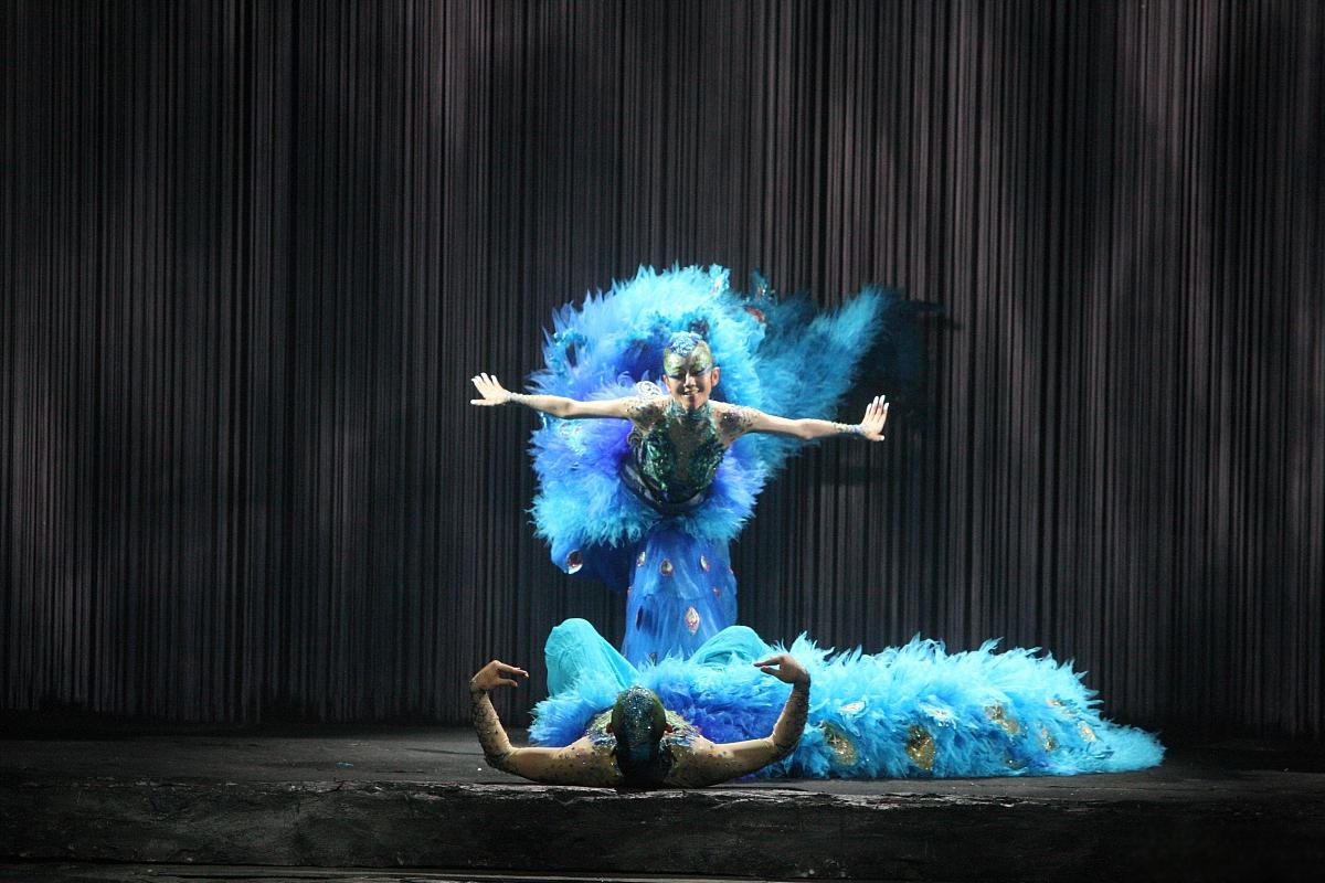 舞台与生活的挑战与平衡 杨丽萍,孔雀舞的代名词,她的长指甲不仅在