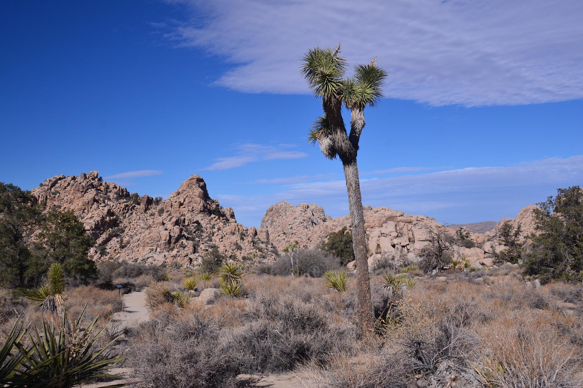 铁力桃山一日游攻略:山水与文化的美妙交融 铁力桃山,位于中国黑龙江