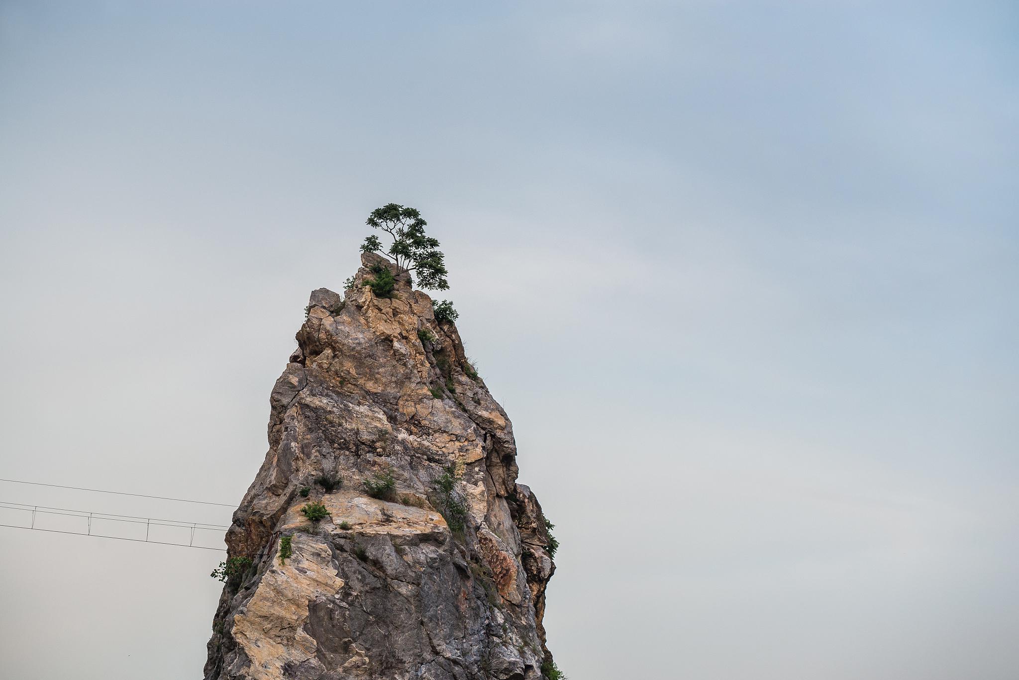 彝良猫猫山图片