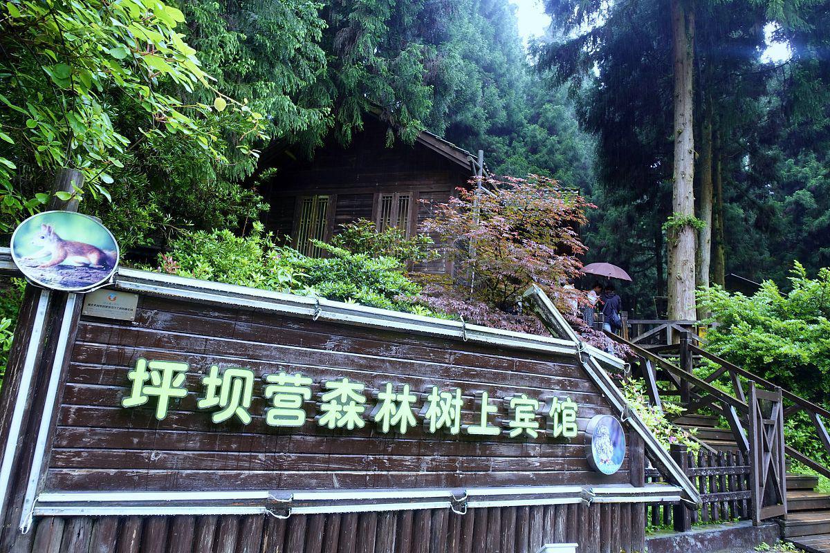 探秘恩施坪坝营景区的无尽魅力 恩施坪坝营景区是一个人间仙境,这里