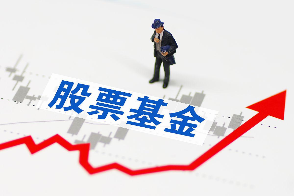 2014股票型基金（2014年涨得最多的基金） 2014股票型基金（2014年涨得最多的基金）《2014年发行的基金有哪些》 基金动态