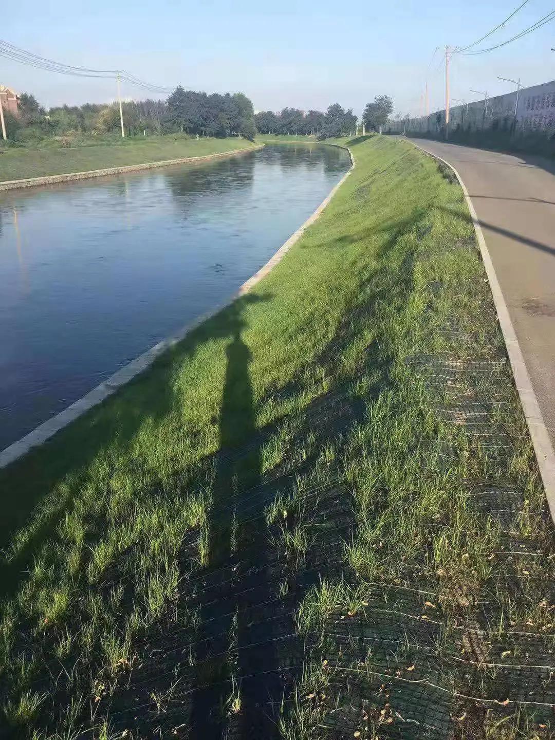 生态毯:守护绿意的护坡神器 荒芜的坡面,让人心生无限感慨.