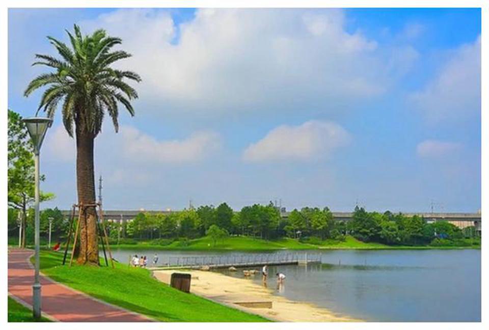 美兰湖:生态与城市发展的完美结合 美兰湖,位于上海宝山区的郊区,是