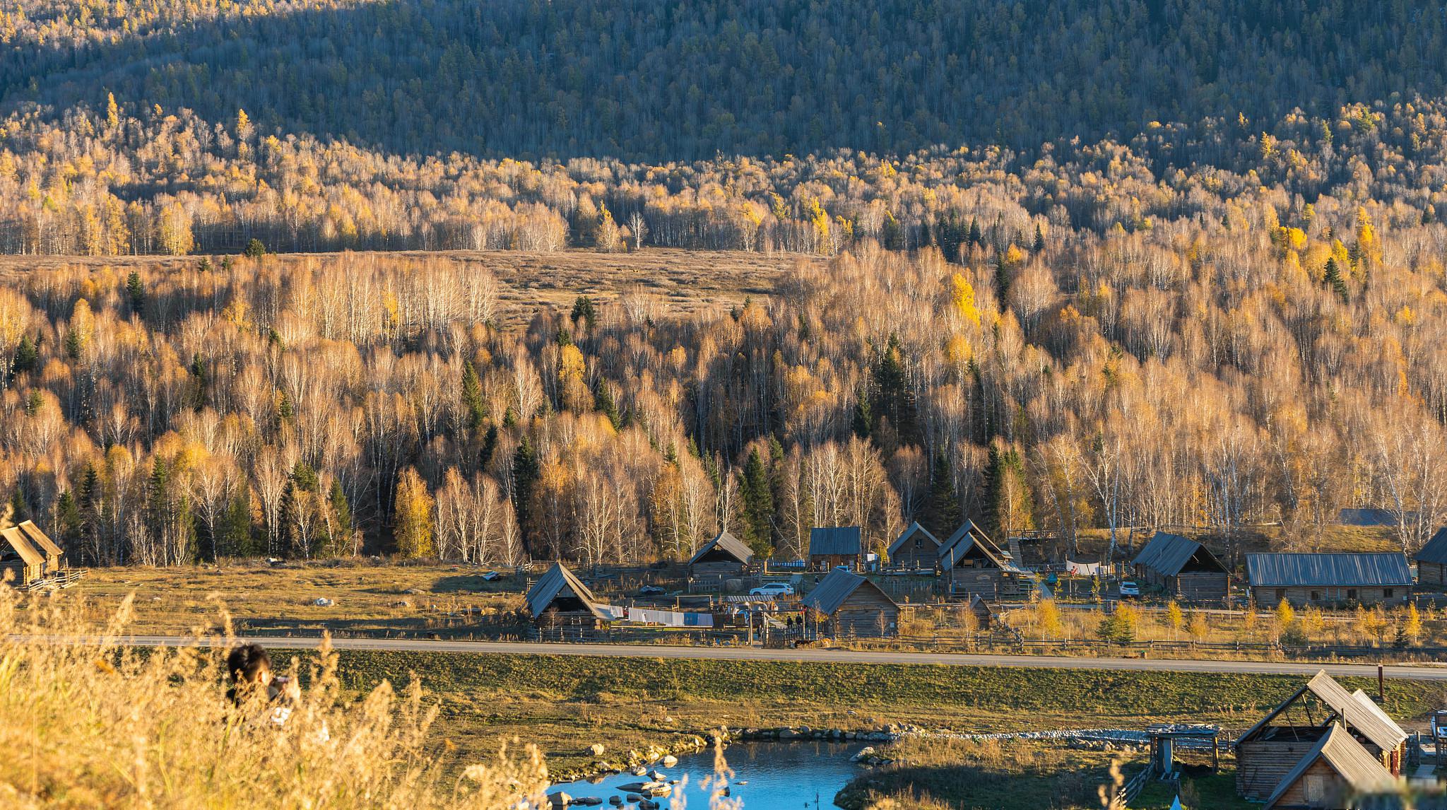禾木:人间仙境 新疆禾木,一个隐藏在布尔津县北部的神秘村落,与喀纳斯