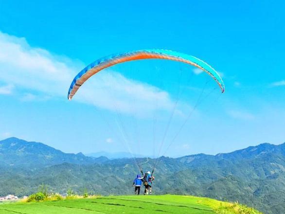 柃蜜小镇之旅 湖北的崇阳县金塘镇,藏着一个宛如仙境的小镇——柃蜜