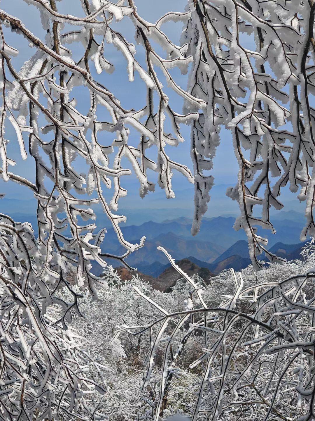 浙西天池雪景图片